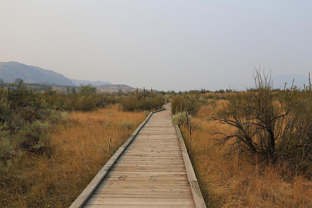 Desert Centre, Osoyoos