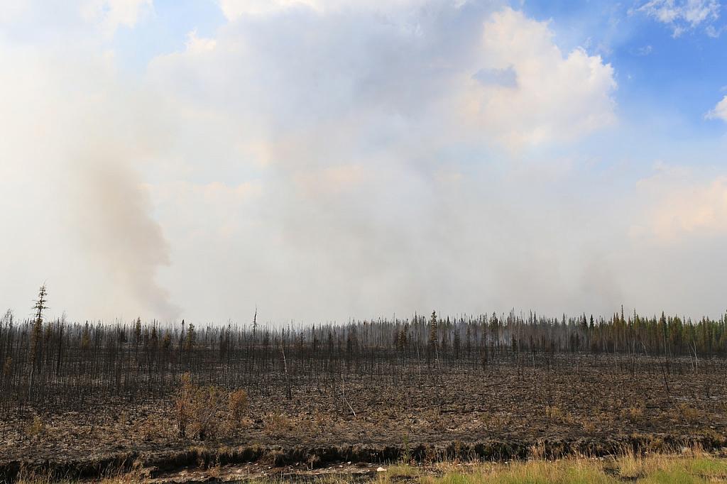 Waldbrand