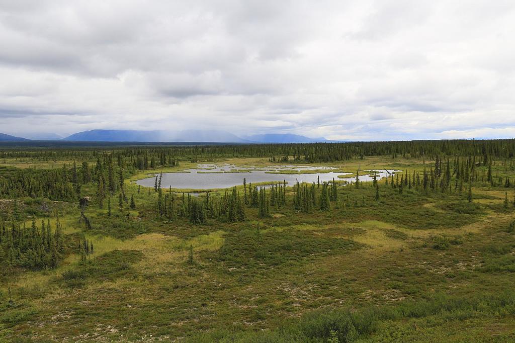 Denali Highway