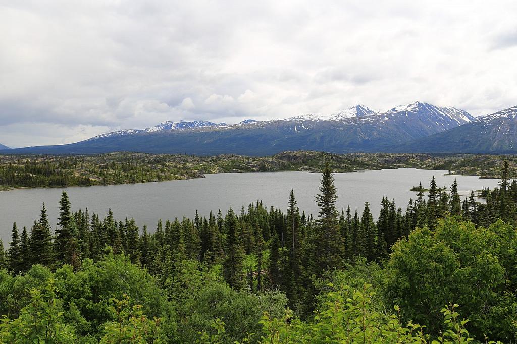 Klondike Highway