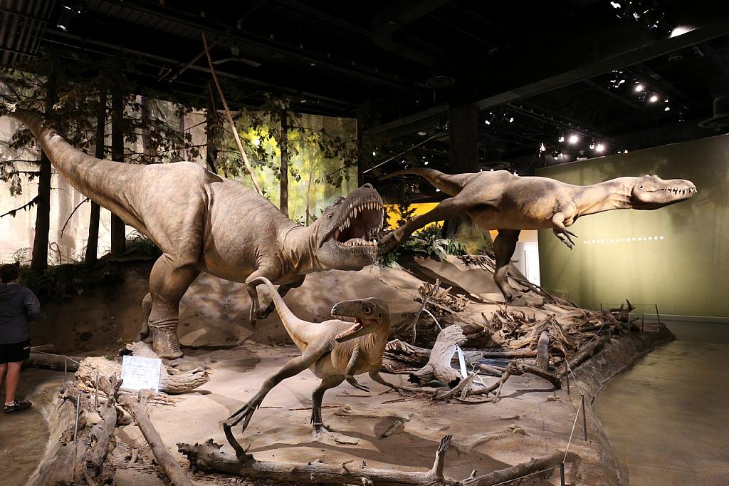 Royal Tyrrell Museum, Drumheller