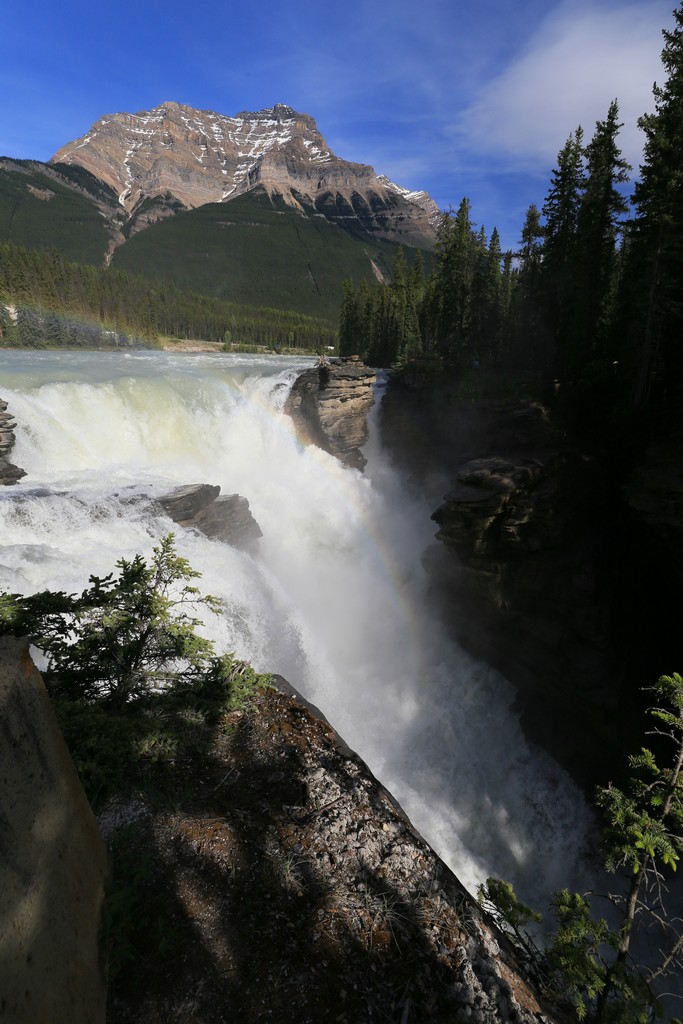 Athabasca Falls