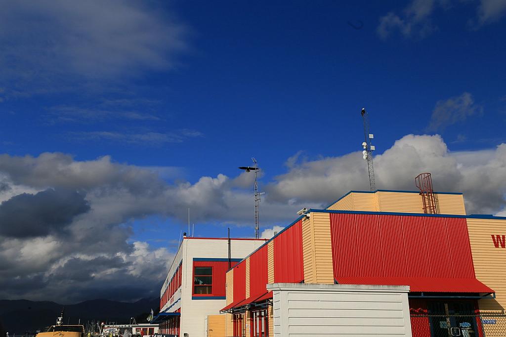 Weisskopfseeadler, Prince Rupert