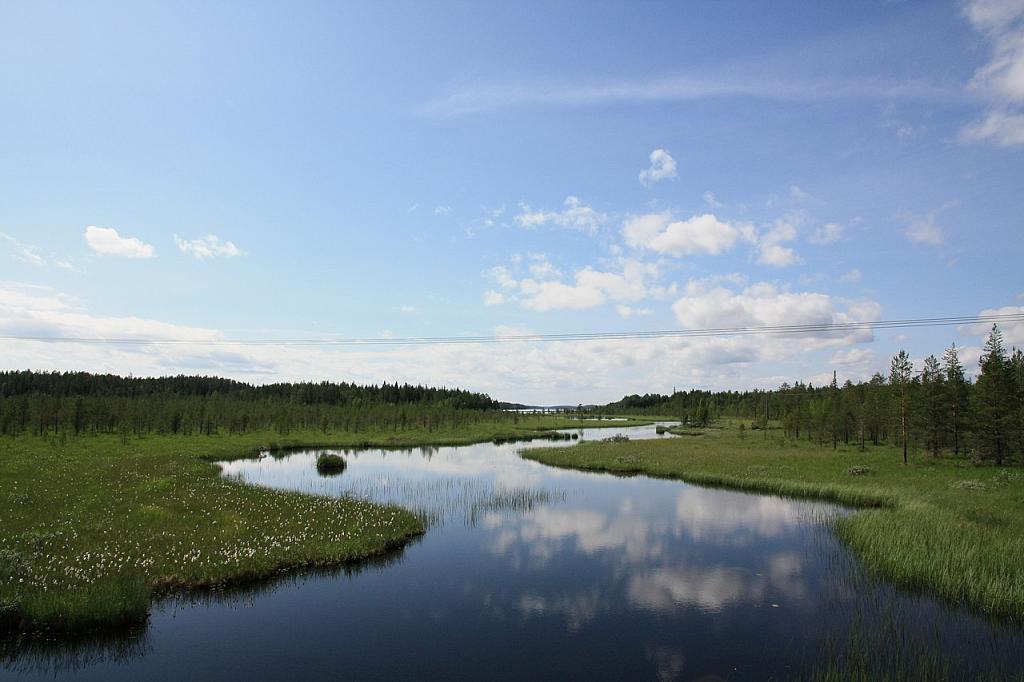 Moorlandschaft