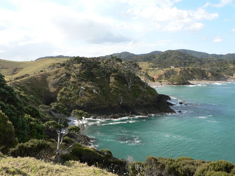 Taupiri Bay