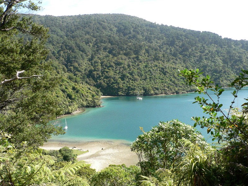 Startpunkt unserer Wanderung in den Queen Charlotte Sounds