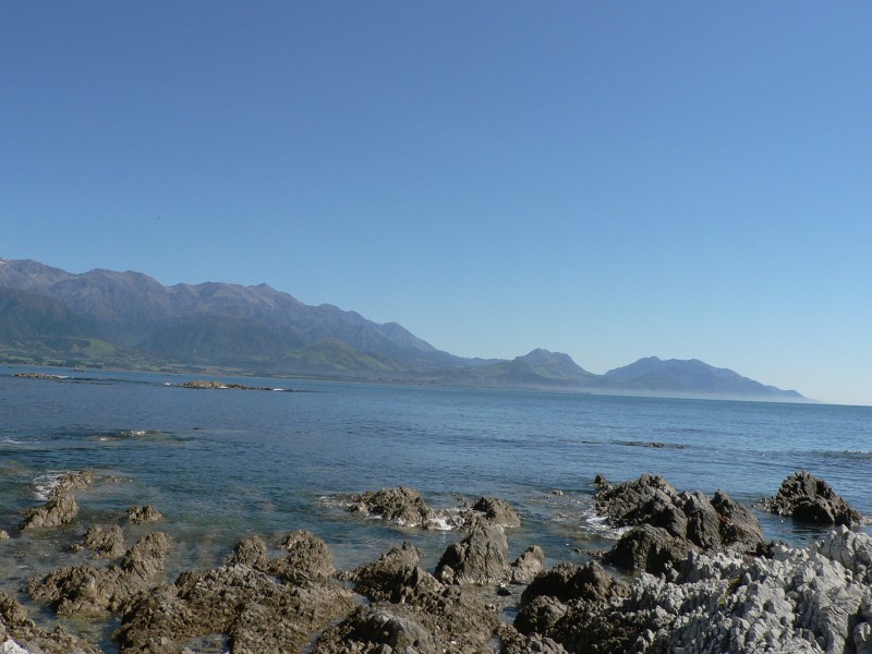 In der Bucht von Kaikoura