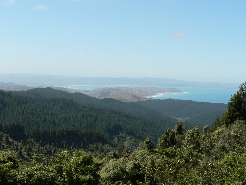 Landschaft in der Hawkes Bay