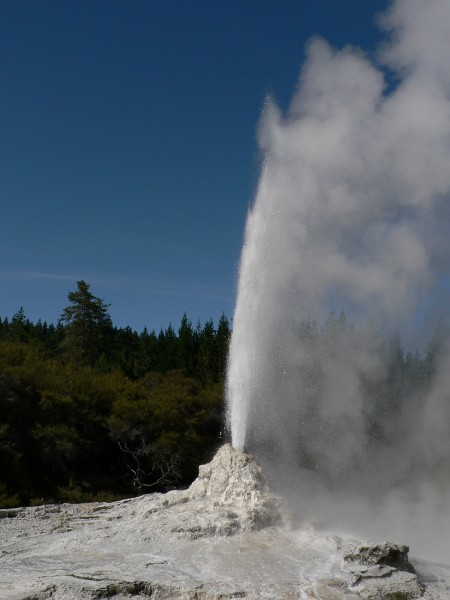 Lady Knox Geysir