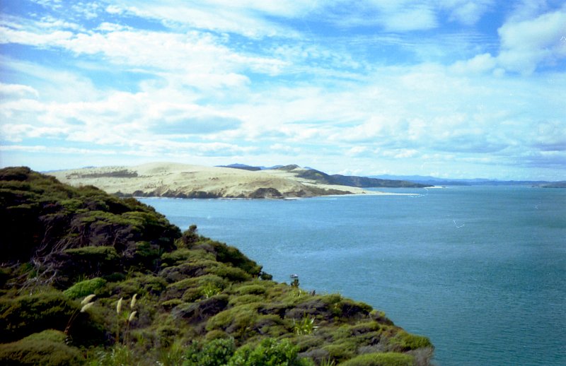 Landschaft um das Cape Reinga