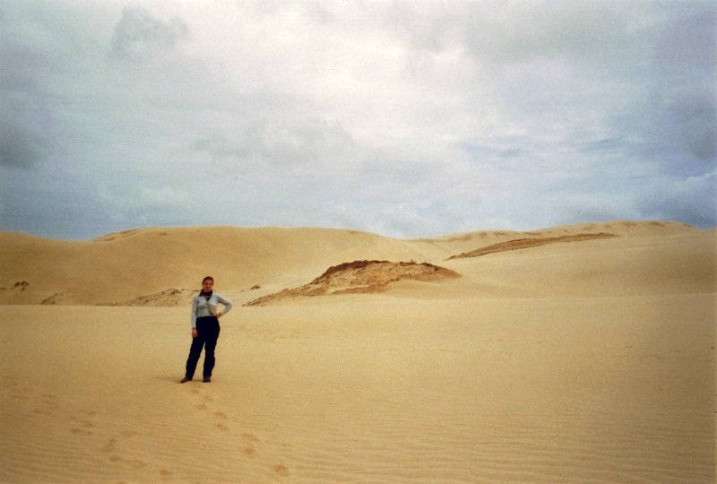 Auf den Dünen