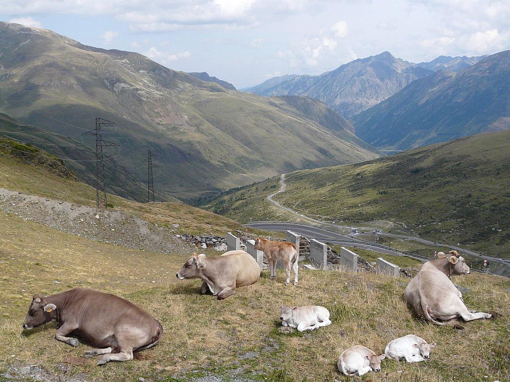 Kahle Berge um Andorra